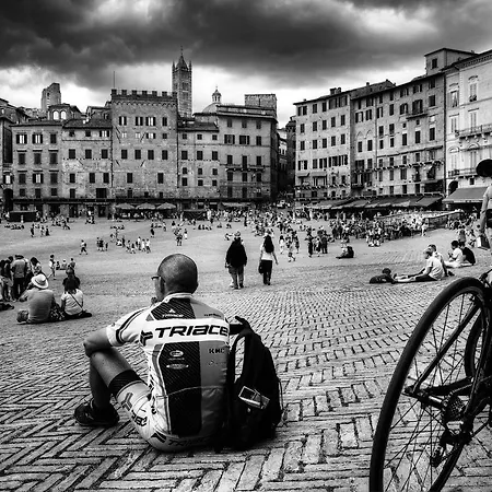 Elisabetta Trequanda